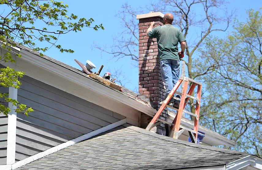 Chimney & Fireplace Inspections Services in Danville, CA